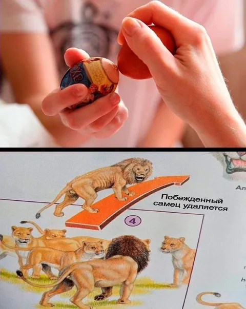 Побежденный самец удаляется