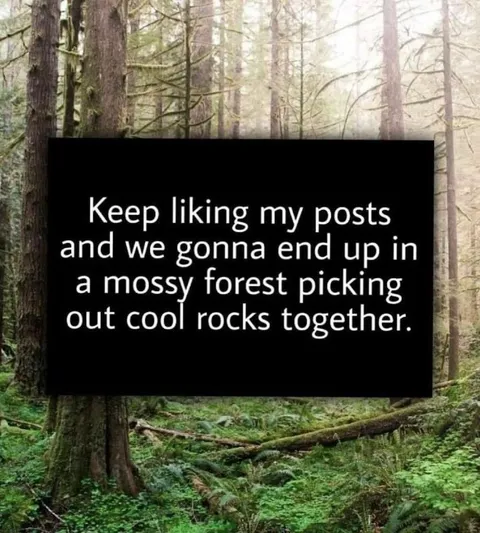 Mossy Forest Rock Picking