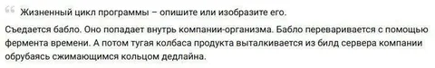 Жизненный цикл программы с баблом