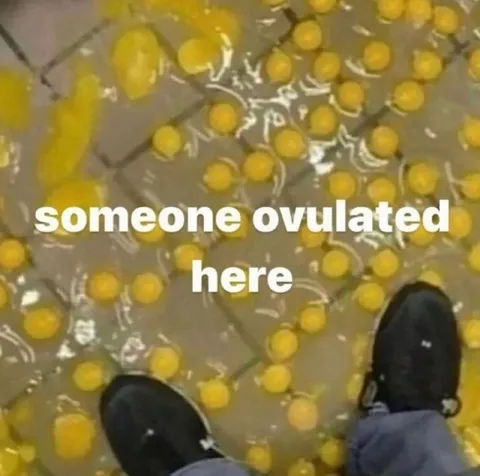 Someone Ovulated Here
