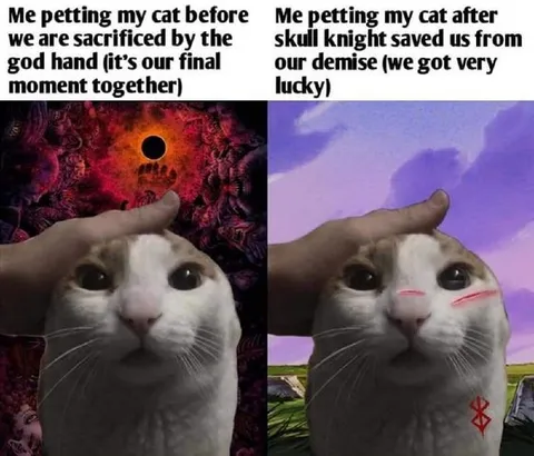 Cat Saved by Skull Knight