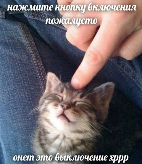Котик выключает кнопку питания