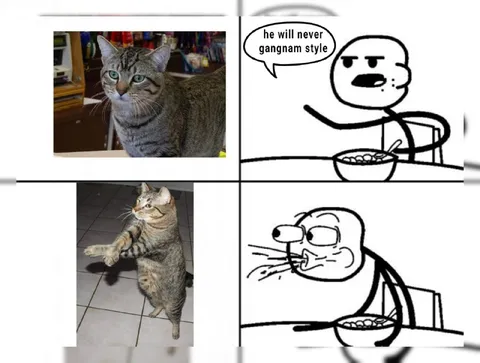 Cat Will Never Gangnam Style