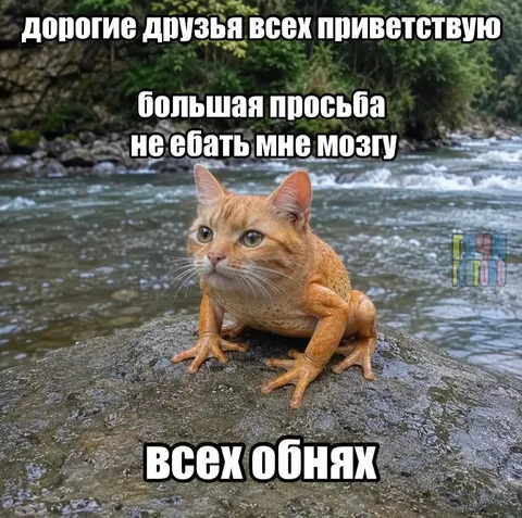 Кот-лягушка всех обнял