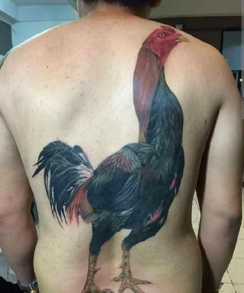 Петух на спине