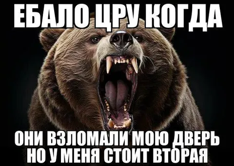 Медведь про вторую дверь