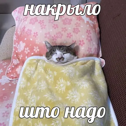 Накрыло — что надо