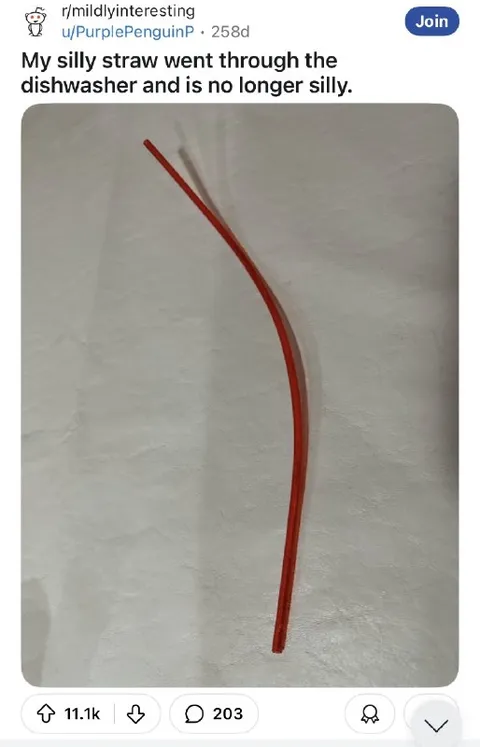 Dishwasher Ruined the Silly Straw