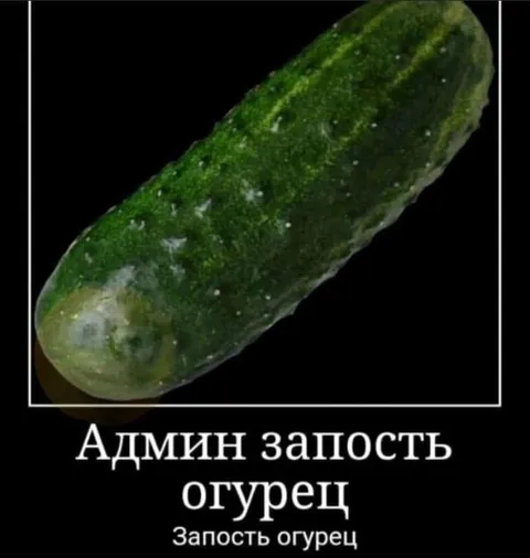 Админ запость огурец