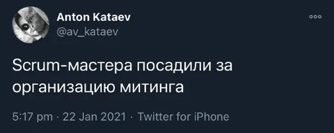 Scrum-мастера посадили за митинг