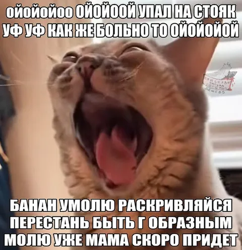 Кот и банан Г-образной формы