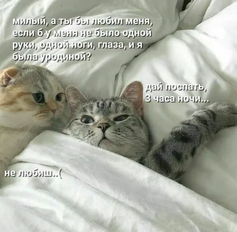 Дай поспать в три часа ночи