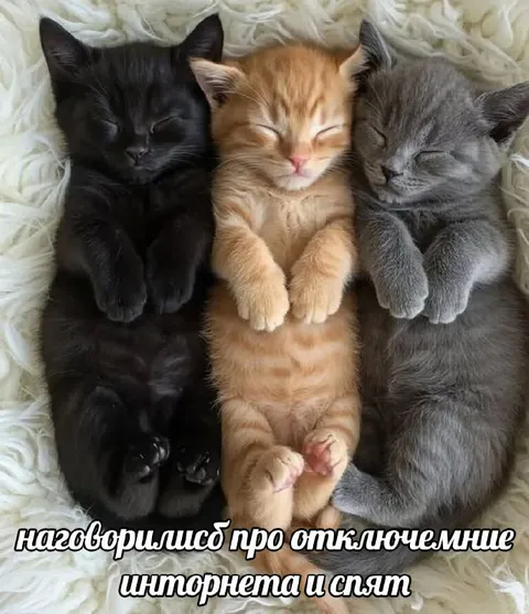 Наговорились про отключение интернета