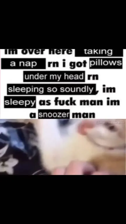 Sleepy Cat Is a Snoozer