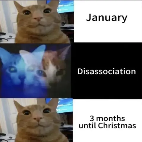 January Dissociation Until Christmas