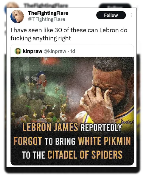 LeBron Can Do Anything