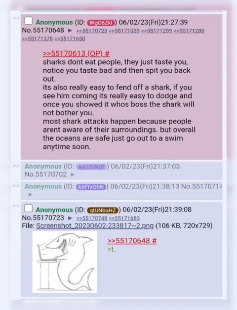 Shark Advice Backfires