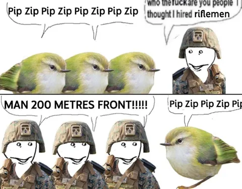 Pip Zip Riflemen Confusion
