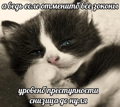 Если отменить все законы