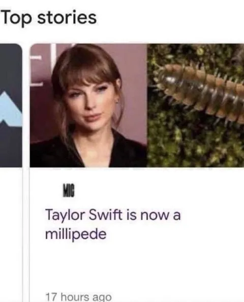 Taylor Swift Millipede