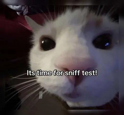 Its Time for Sniff Test