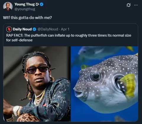 Young Thug Pufferfish Comparison