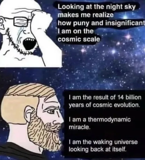 Cosmic Scale Wojak vs Chad