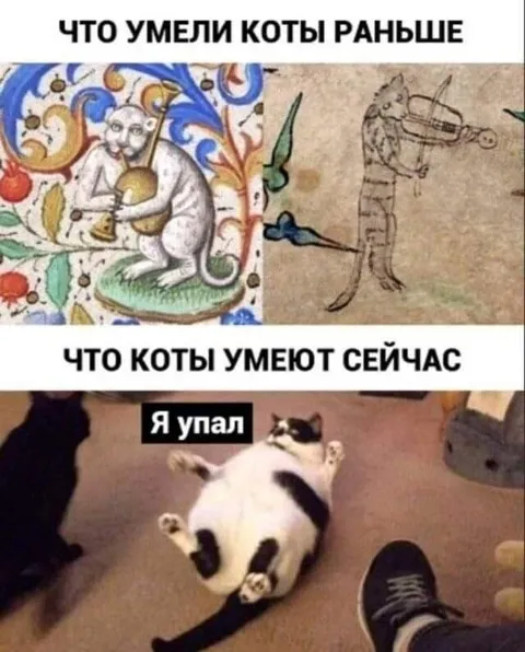 Что умеют коты сейчас