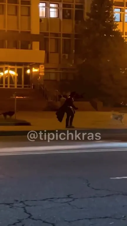 Ночной выгул стаи собак