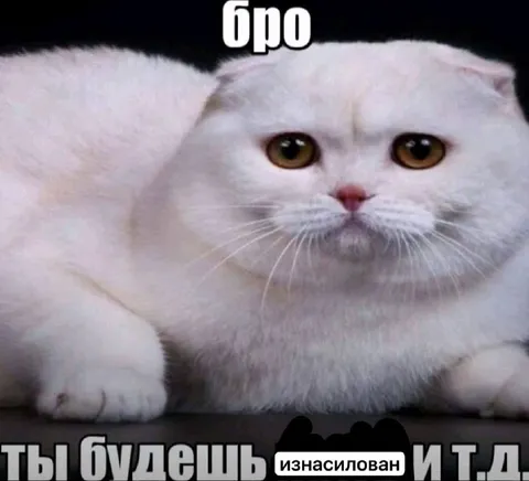 Бро, ты будешь изнасилован
