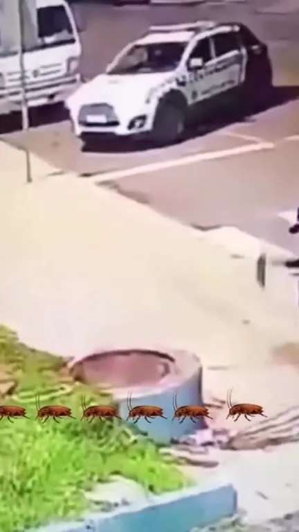 Люди вылезают из люка под сальсу