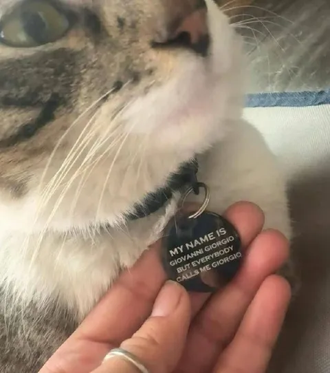Cat's Very Specific Name Tag