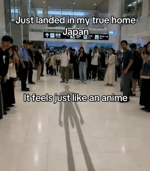 Japan Feels Like an Anime