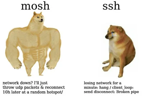 Mosh vs SSH Network Failure