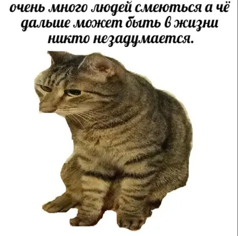 Никто не задумывается о будущем