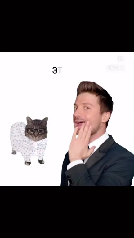 Кот поёт сергея лазарева
