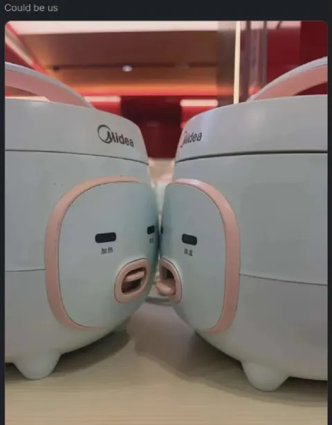 Could Be Us Rice Cookers
