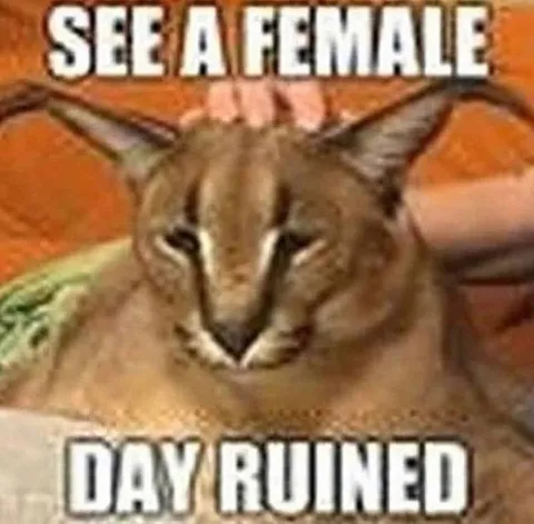 See a Female Day Ruined