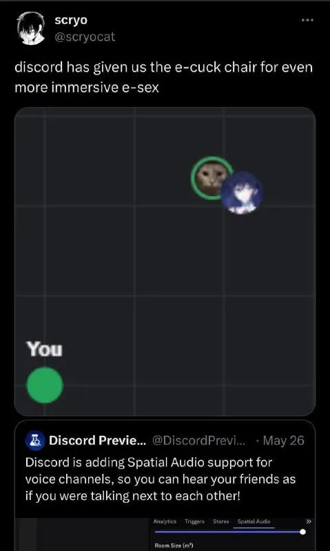 Discord E-Cuck Chair