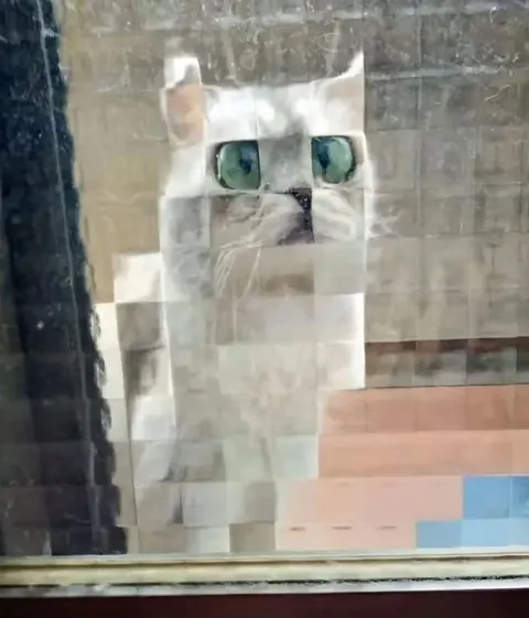 Кот из кусочков бумаги