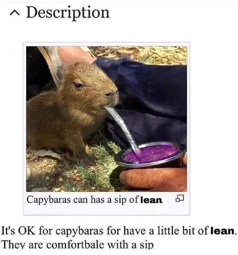 Capybara Sips Lean