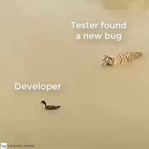 Tester Finds a New Bug