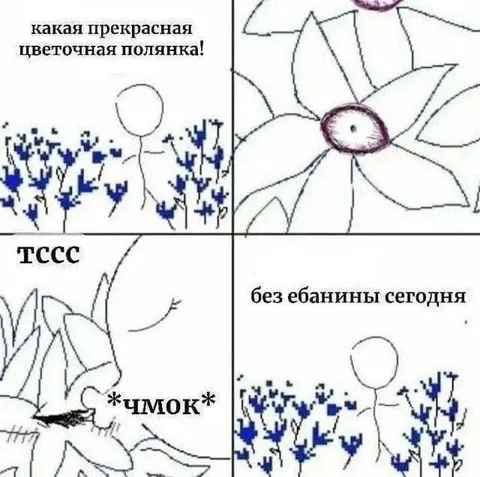 Без ебанины сегодня