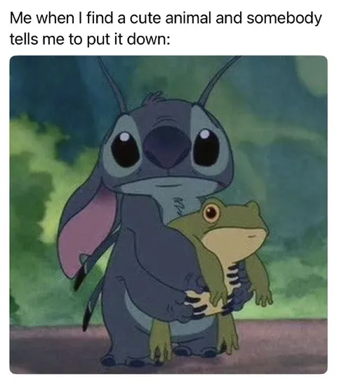 Stitch Won’t Put It Down
