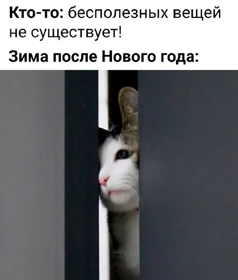 Зима после Нового года