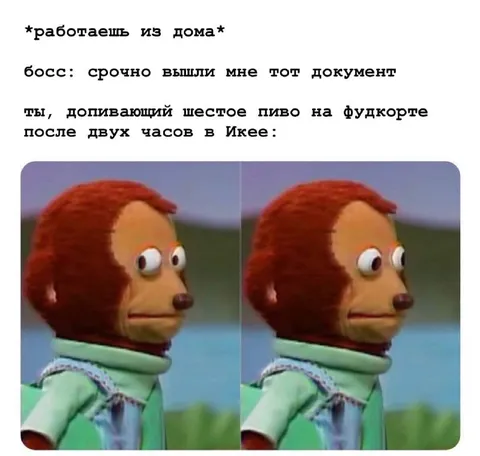 Работаешь из дома после шести пива