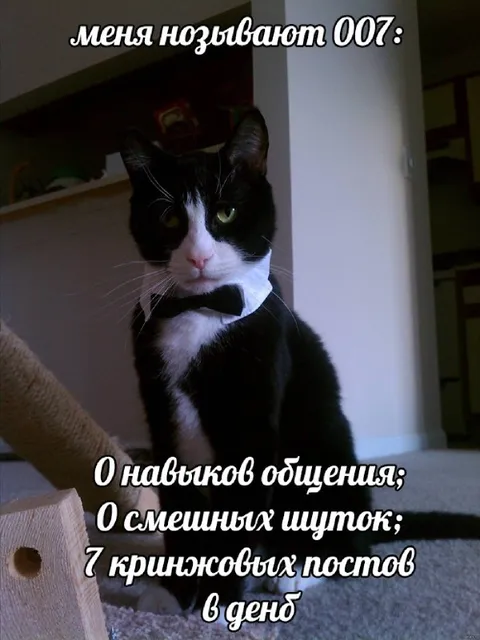 Кот 007 с кринжовыми постами