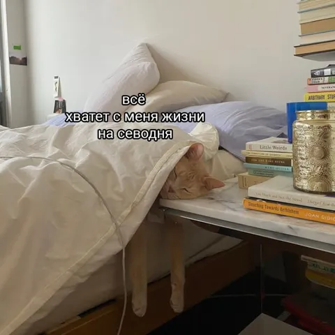 Всё, хватет с меня жизни