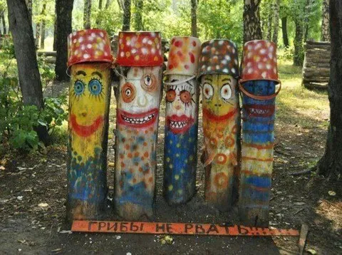 Грибы не рвать