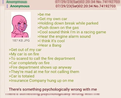 Car Fire Greentext Disaster